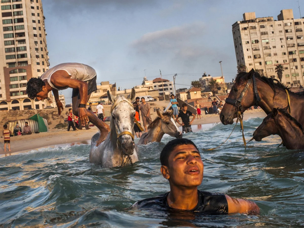 Gaza | 16 de Novembro | 21h15 | MICAR 2024